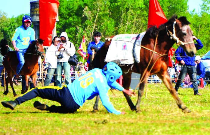 Cười ngất Với hội đua ngựa thồ - Ảnh 2.