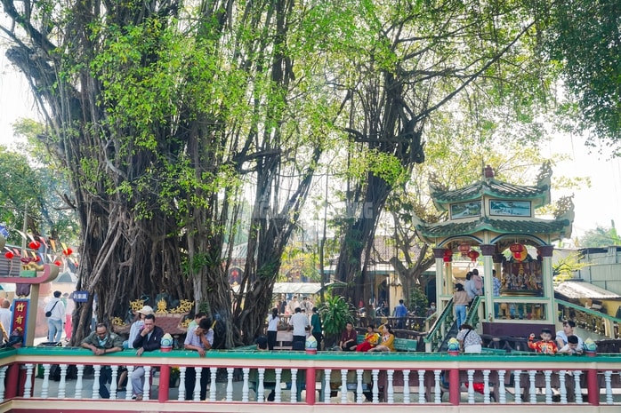 VIDEO: Mạch nước tâm linh tại TPHCM thu hút người dân đến xin nước cầu may những ngày đầu năm - Ảnh 6.