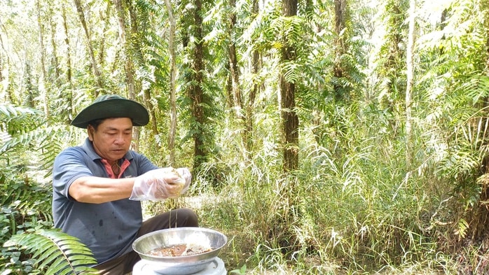 VIDEO: Trải nghiệm ăn ong ngày Tết - Ảnh 10.