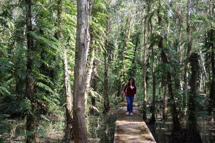 VIDEO: Trải nghiệm ăn ong ngày Tết - Ảnh 3.