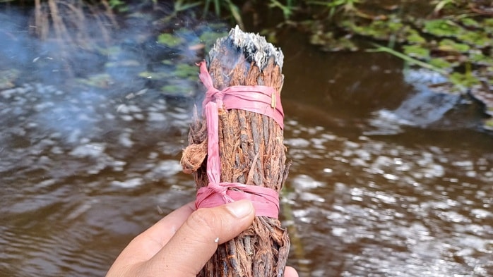 VIDEO: Trải nghiệm ăn ong ngày Tết - Ảnh 5.