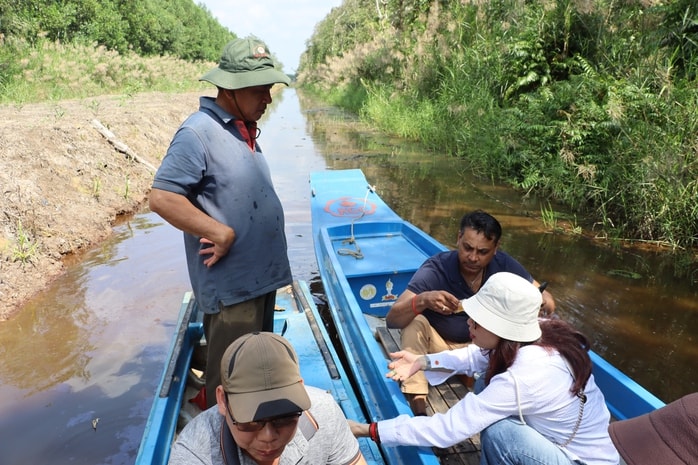 VIDEO: Trải nghiệm ăn ong ngày Tết - Ảnh 8.