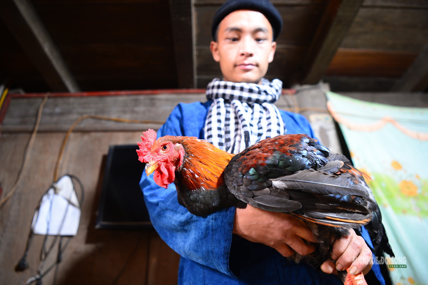 Người Mông đón Tết ở Thủ đô- Ảnh 5.