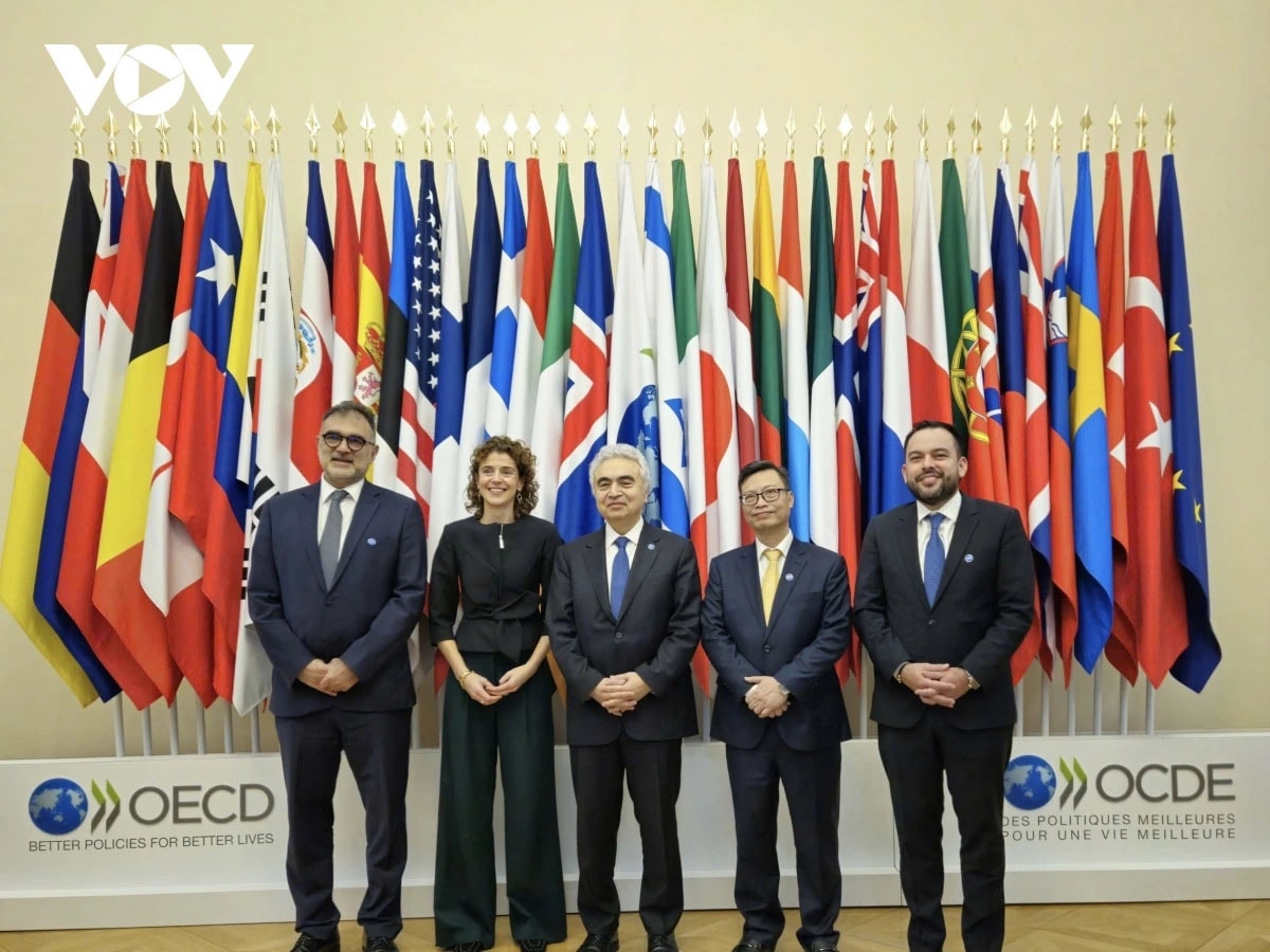 Tiến sĩ Fatih Birol (giữa), Giám đốc điều hành IEA, khẳng định các nước thành viên đánh giá cao sự hợp tác ngày càng sâu sắc với Việt Nam.
