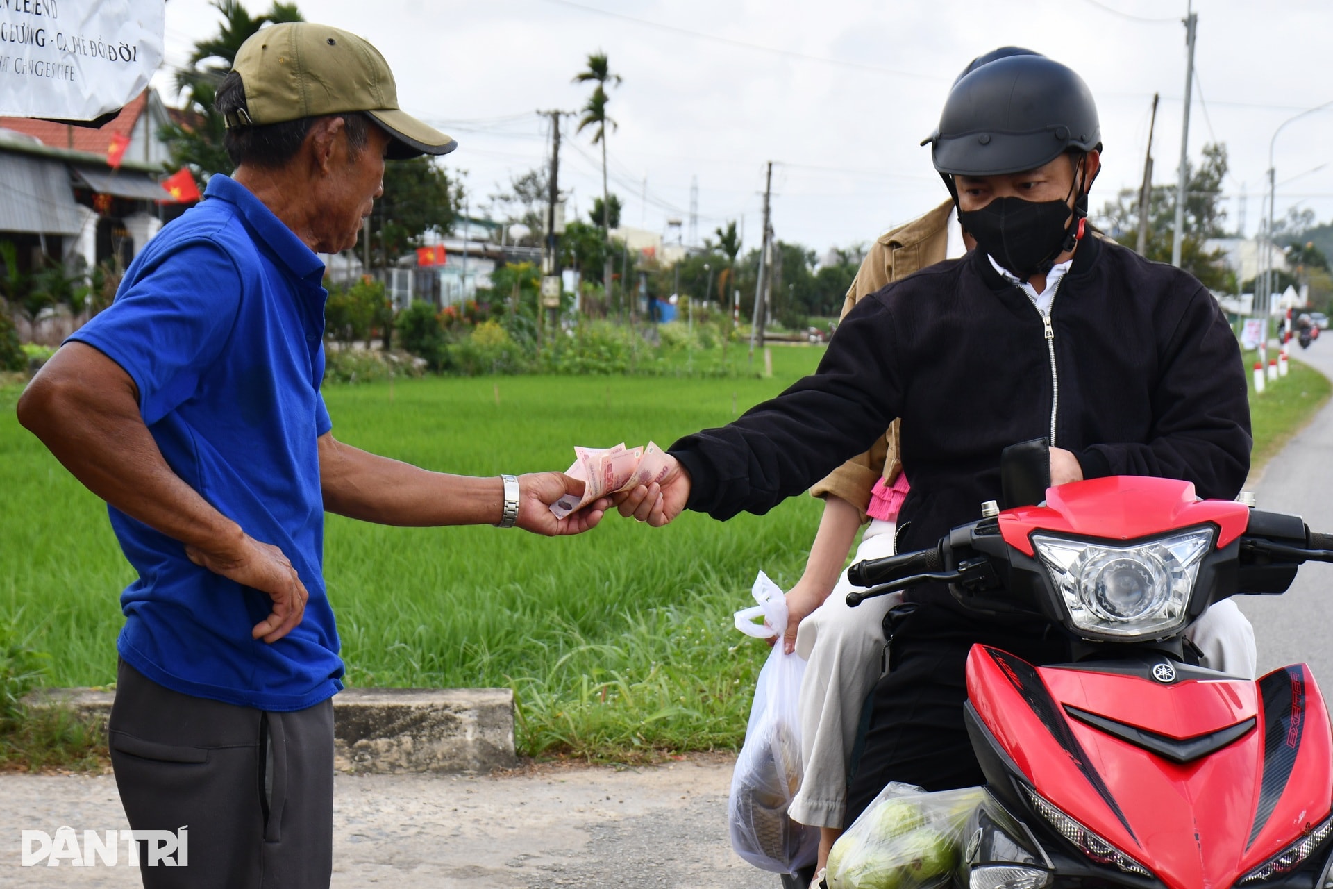 Thuyền cá bơi lên quốc lộ, kiếm 8-10 triệu đồng ngày Tết - 5 Thuyền cá bơi lên quốc lộ, kiếm 8-10 triệu đồng ngày Tết - 5