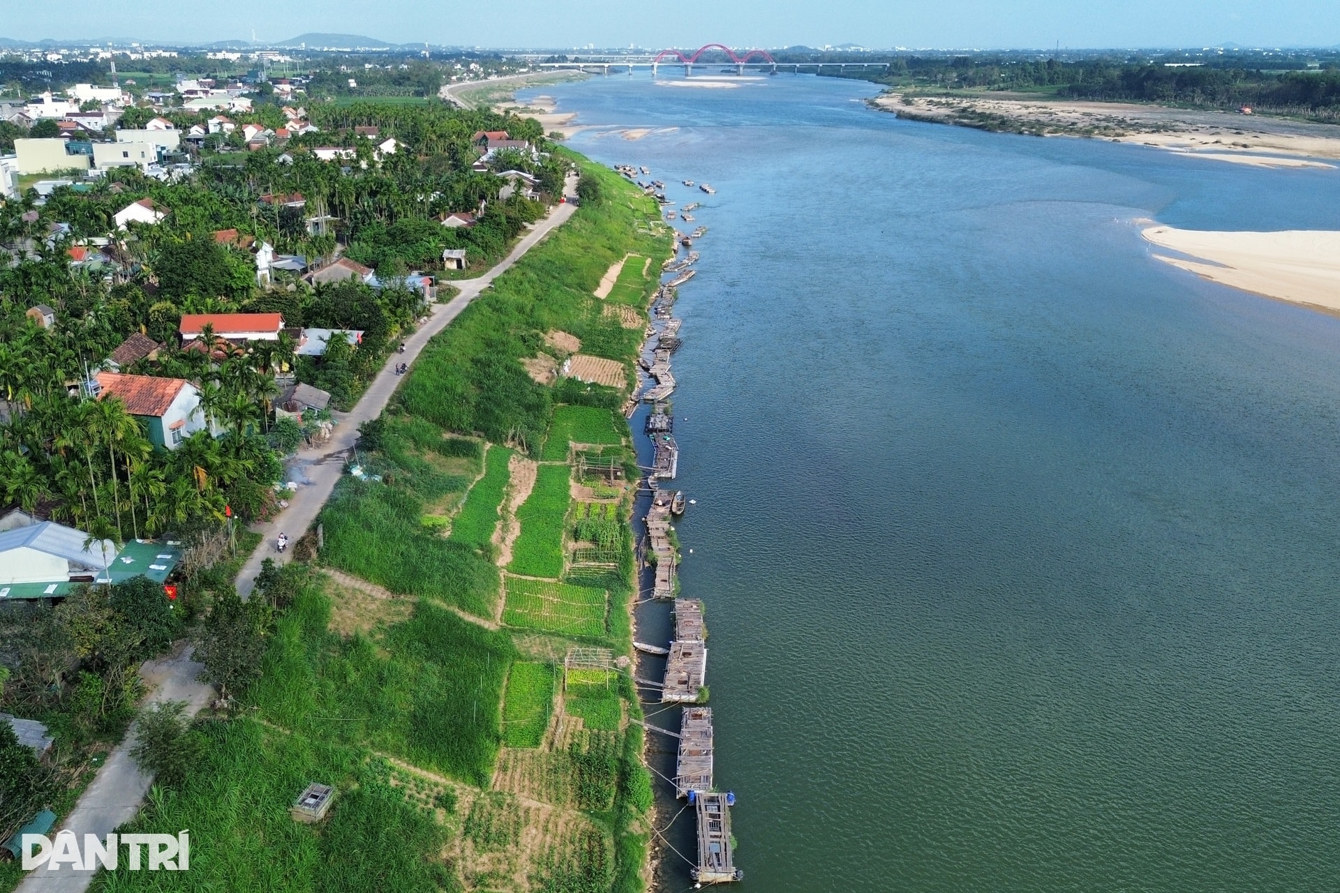 Thuyền cá bơi lên quốc lộ, kiếm 8-10 triệu đồng ngày Tết - 1 Thuyền cá bơi lên quốc lộ, kiếm 8-10 triệu đồng ngày Tết - 1