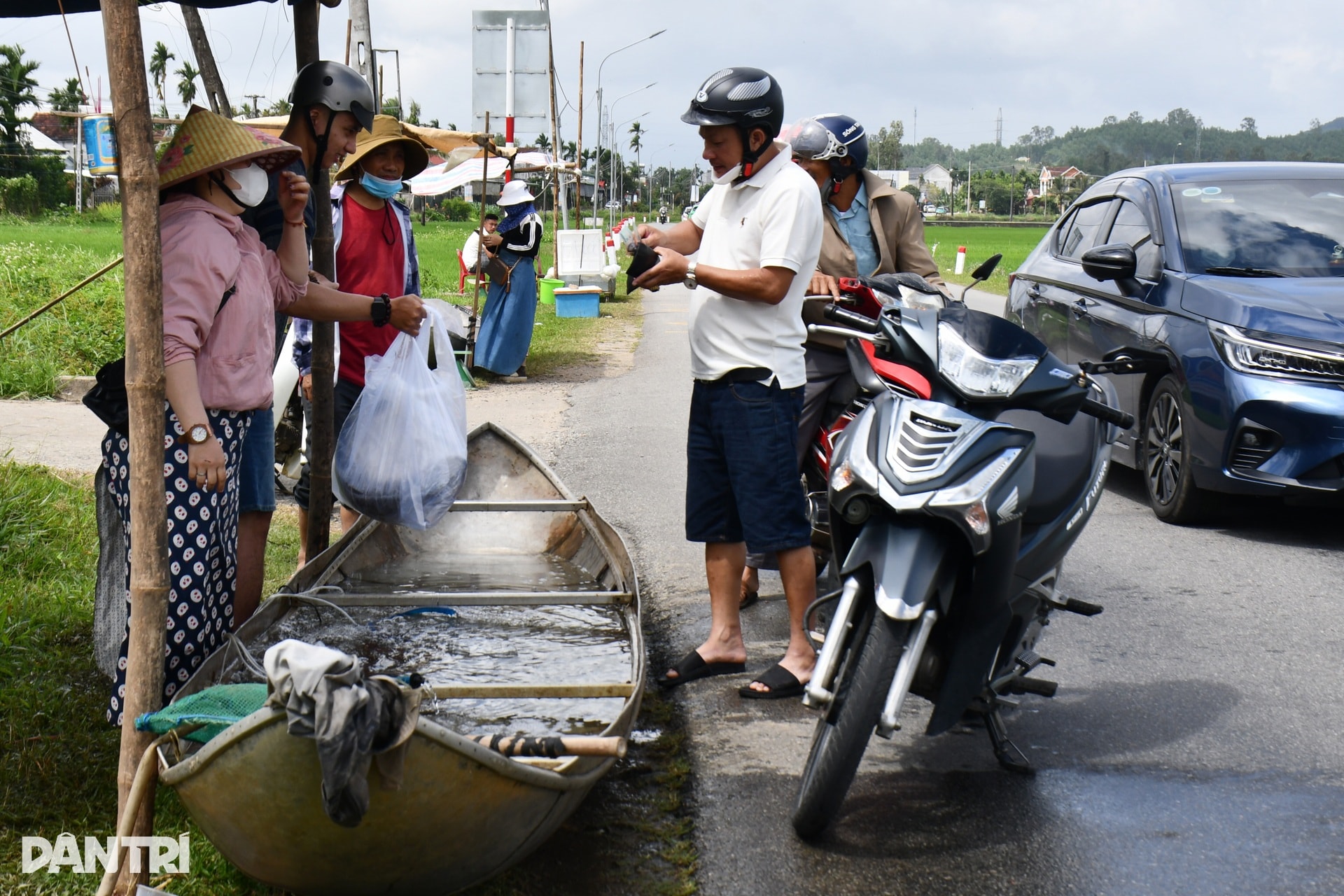 Thuyền cá bơi lên quốc lộ, kiếm 8-10 triệu đồng ngày Tết - 2 Thuyền cá bơi lên quốc lộ, kiếm 8-10 triệu đồng ngày Tết - 2