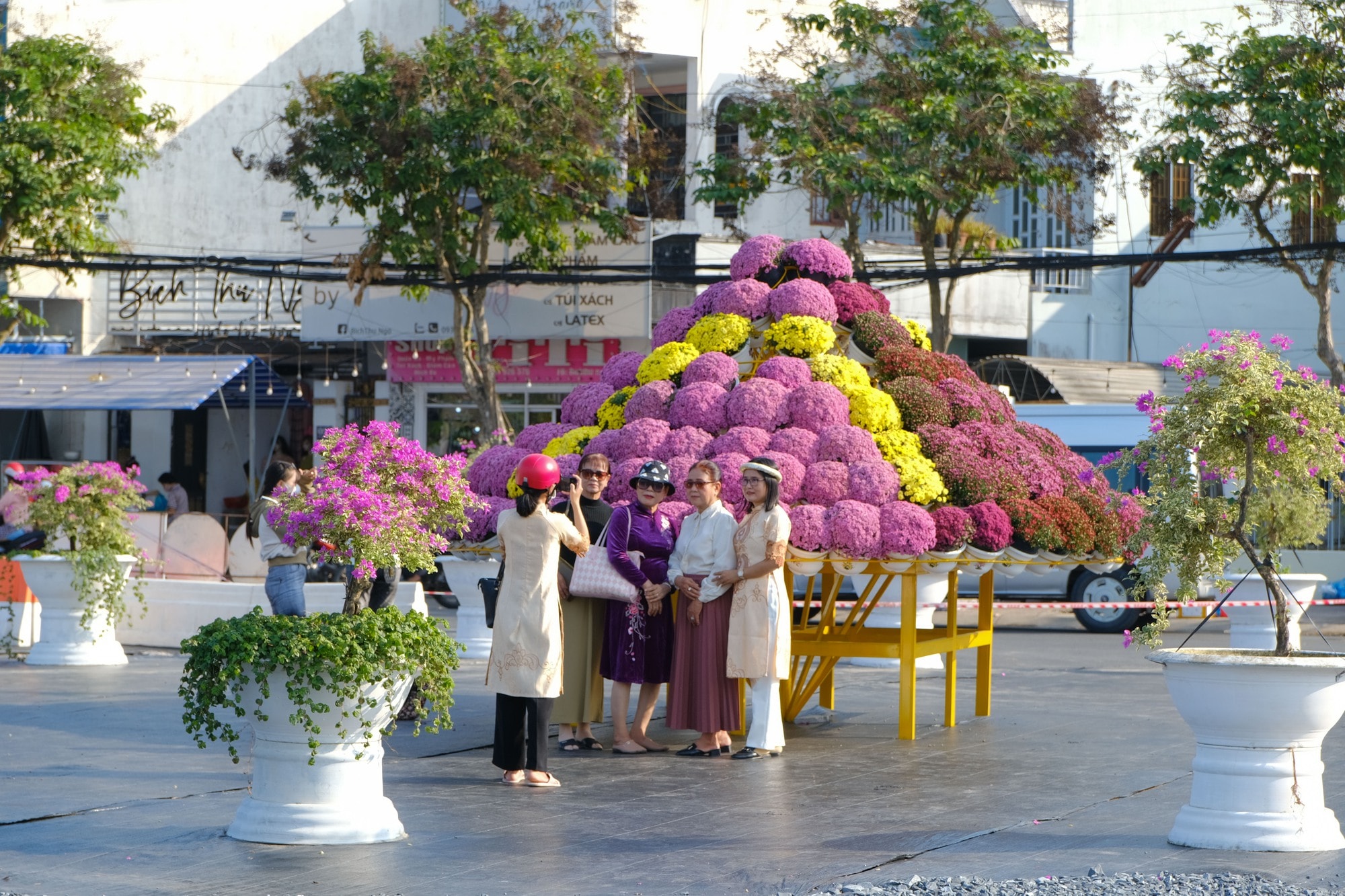 Làng hoa Sa Đéc tưng bừng sắc màu - Ảnh 15. Làng hoa Sa Đéc tưng bừng sắc màu - Ảnh 15.