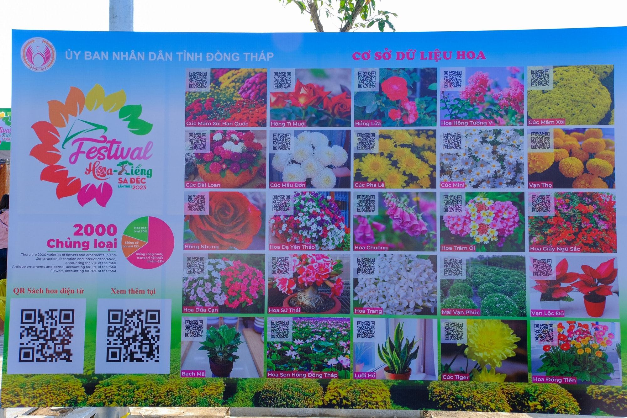 Làng hoa Sa Đéc tưng bừng sắc màu - Ảnh 16. Làng hoa Sa Đéc tưng bừng sắc màu - Ảnh 16.