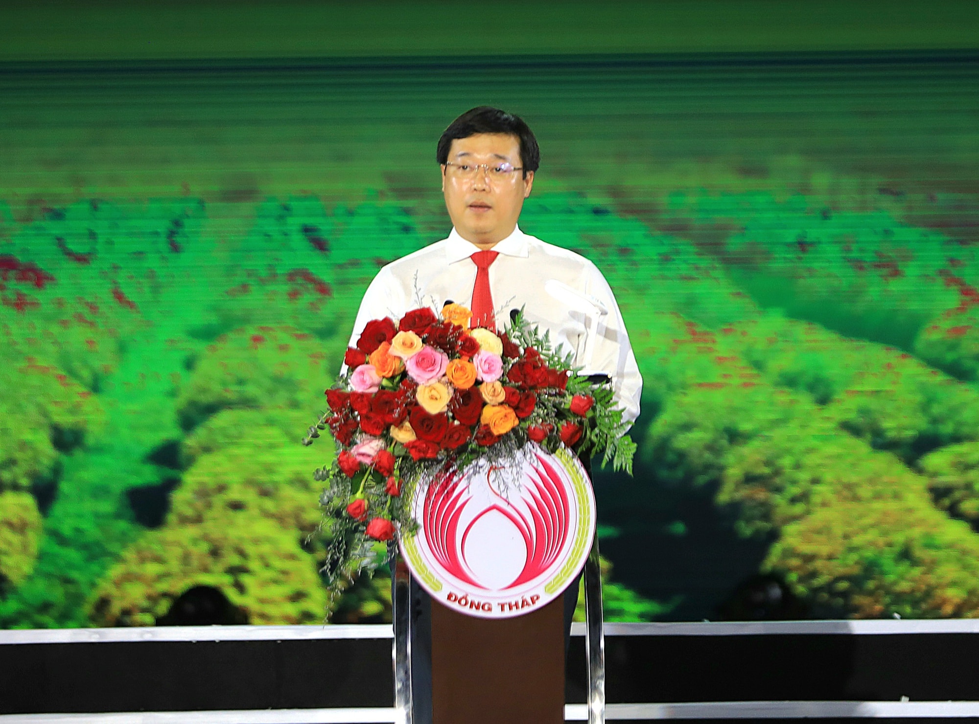 Làng hoa Sa Đéc tưng bừng sắc màu - Ảnh 2. Làng hoa Sa Đéc tưng bừng sắc màu - Ảnh 2.