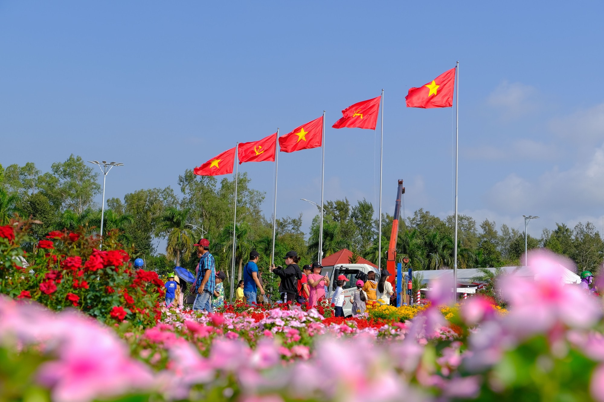 Làng hoa Sa Đéc tưng bừng sắc màu - Ảnh 11. Làng hoa Sa Đéc tưng bừng sắc màu - Ảnh 11.