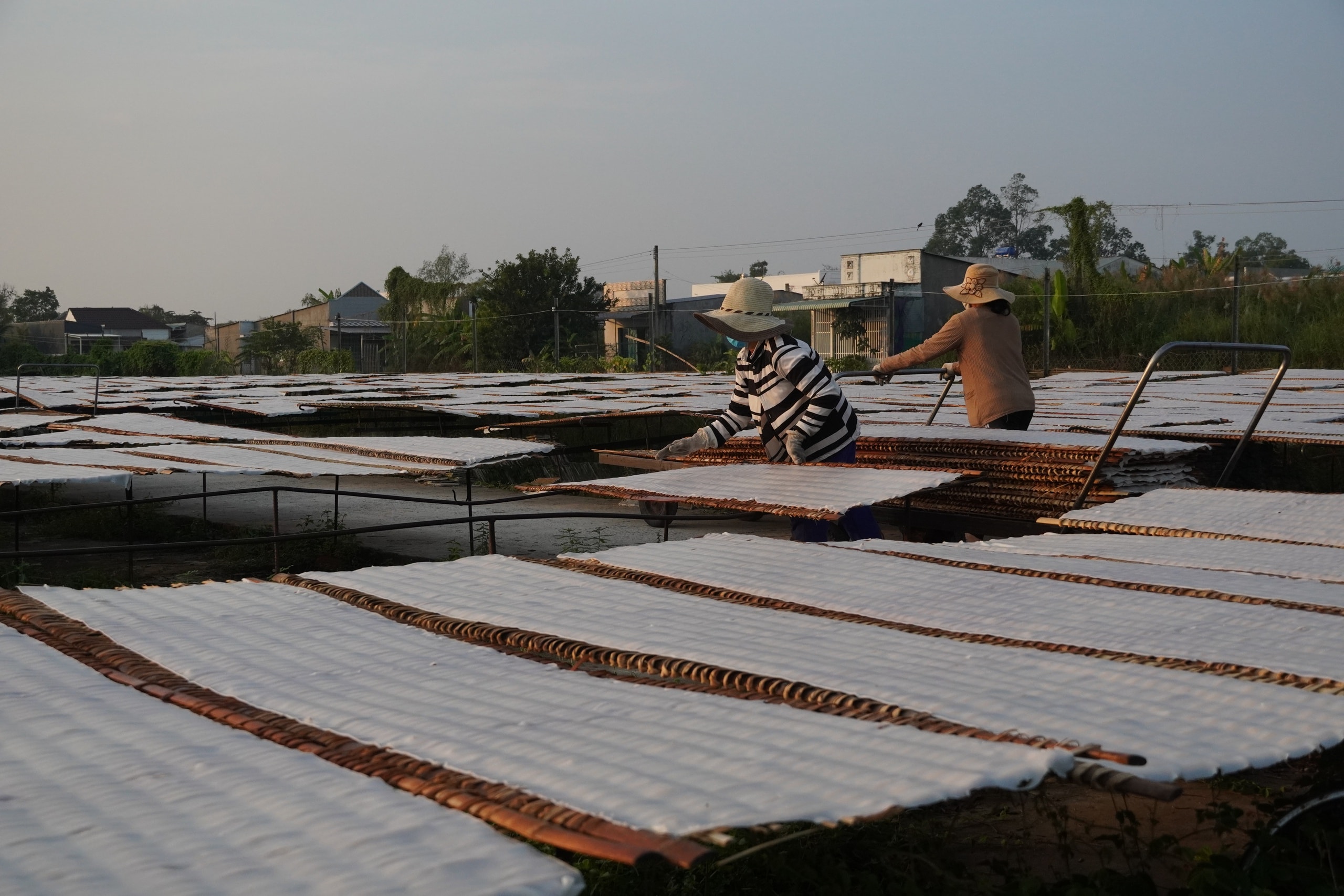 Tết về, thưởng thức đặc sản hủ tiếu Sa Đéc trứ danh - Ảnh 1.