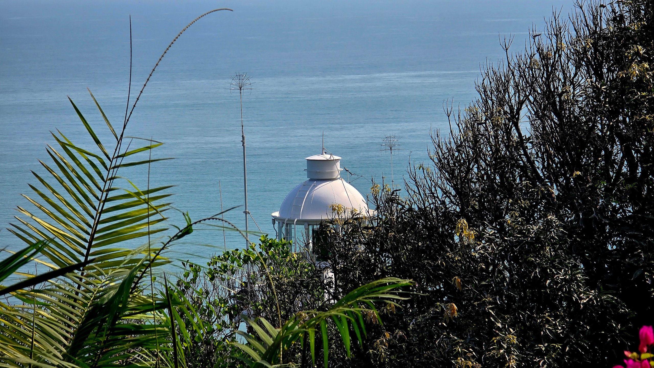 Chinh phục “mắt biển” trăm tuổi trên đỉnh Sơn Trà - Ảnh 2.