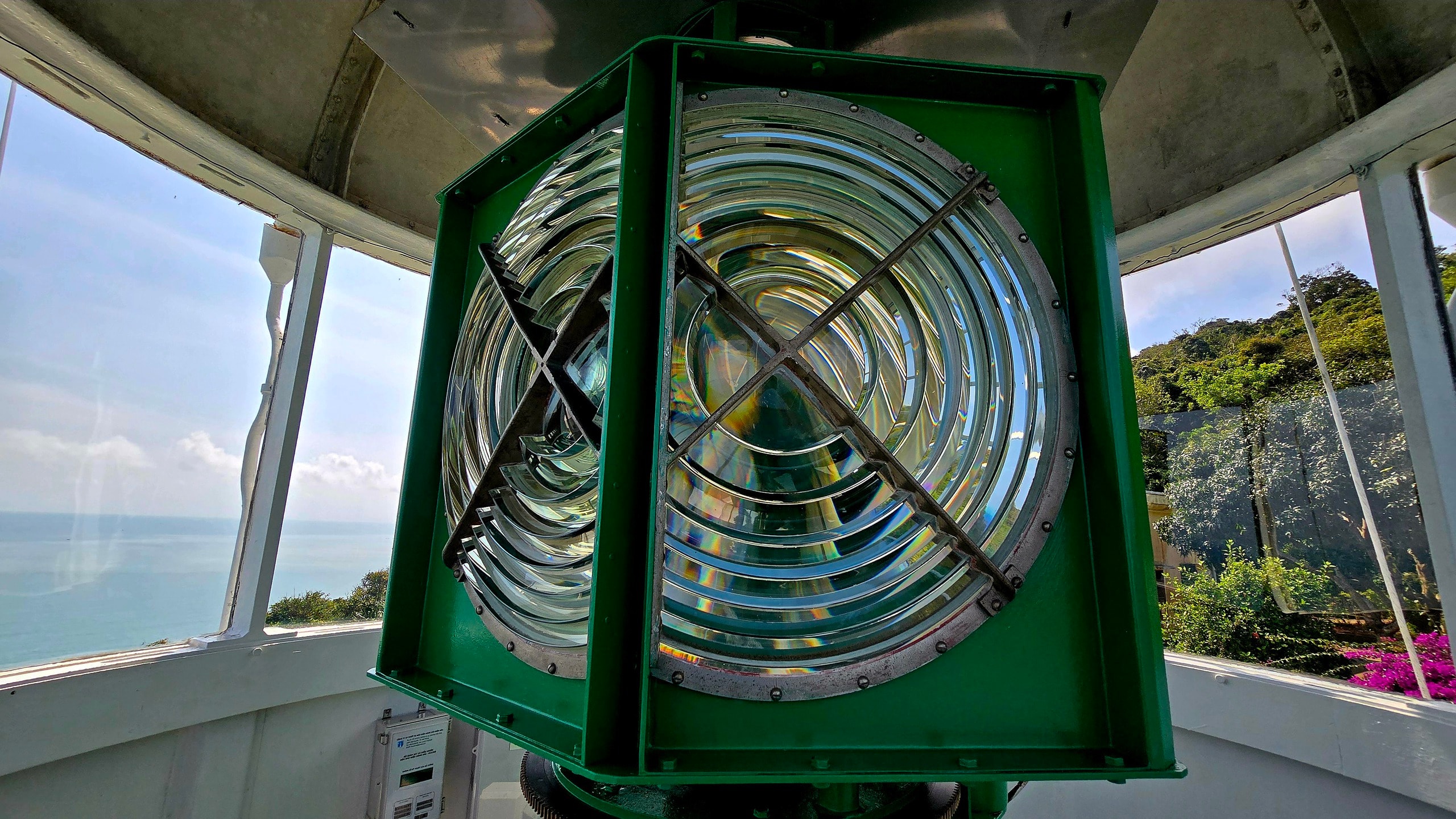 Chinh phục “mắt biển” trăm tuổi trên đỉnh Sơn Trà - Ảnh 4.