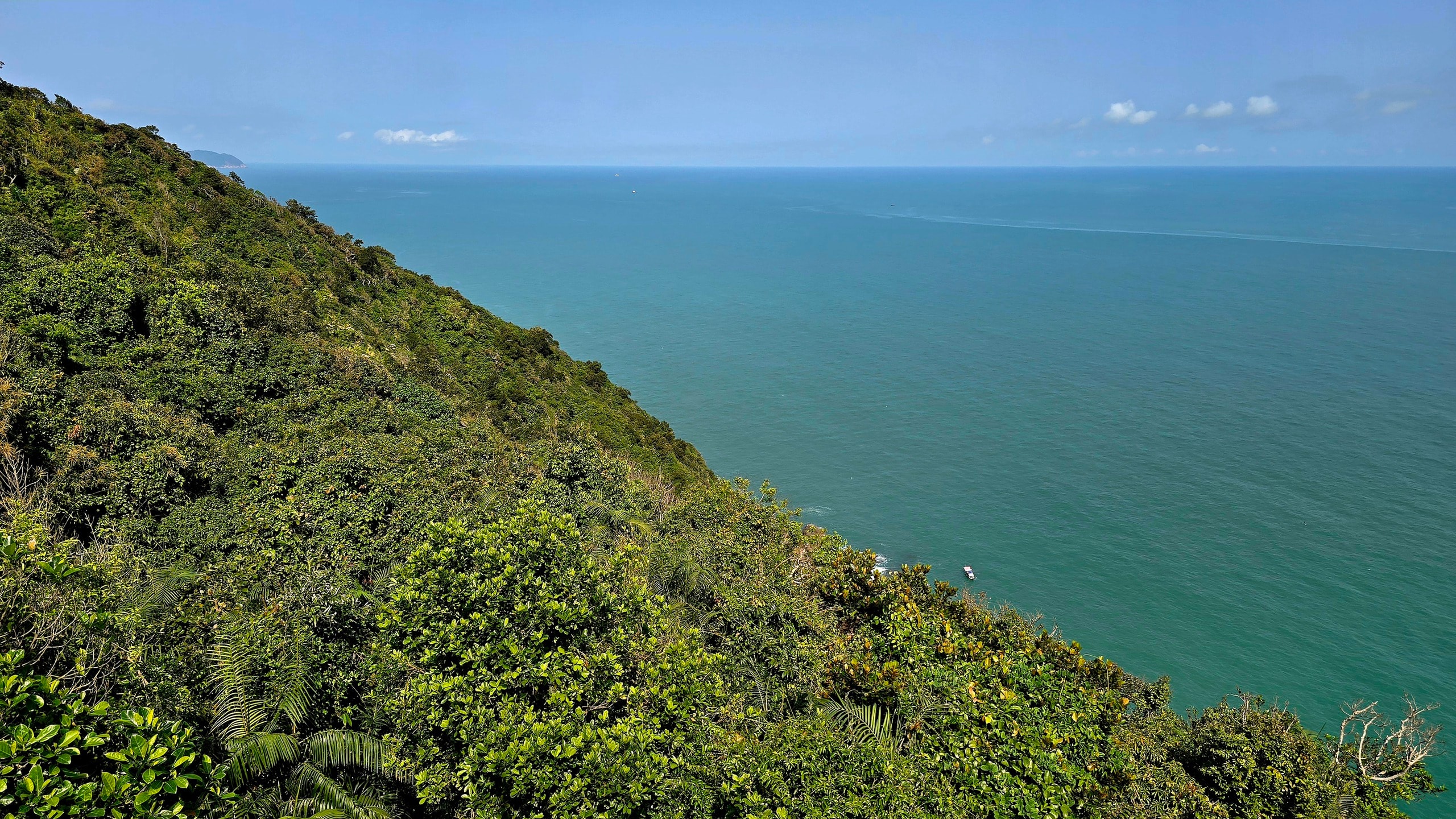 Chinh phục “mắt biển” trăm tuổi trên đỉnh Sơn Trà - Ảnh 5.