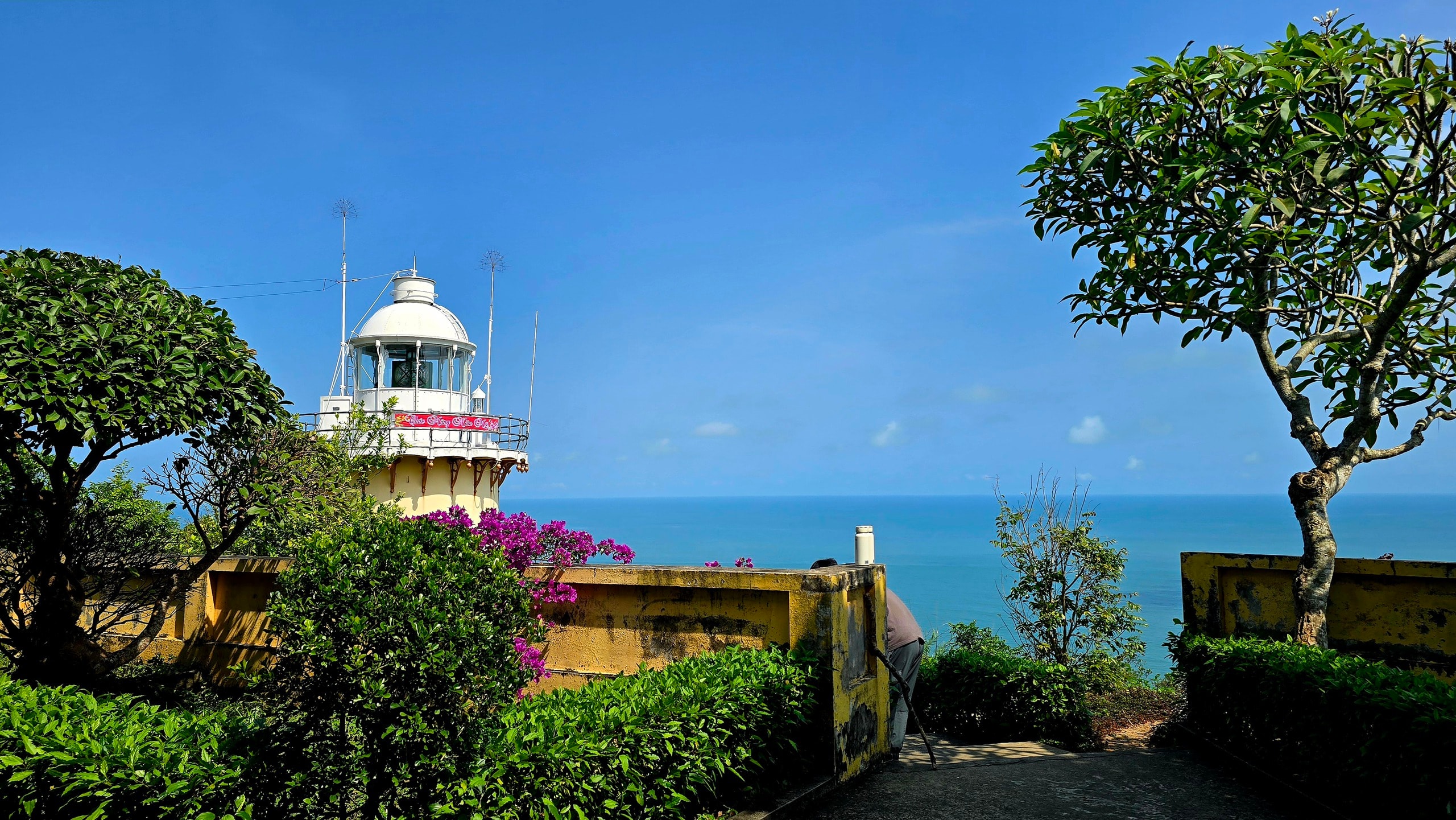 Chinh phục “mắt biển” trăm tuổi trên đỉnh Sơn Trà - Ảnh 3.