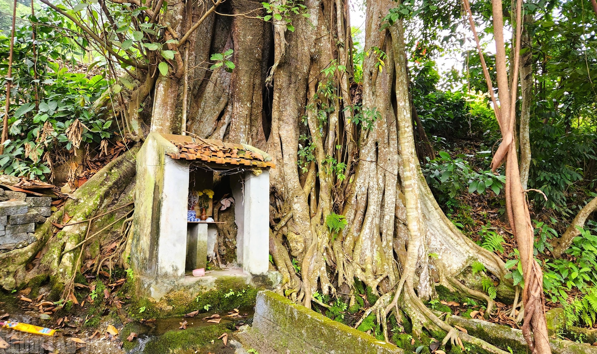 Chuyện về "giếng nước thần" được cả làng bảo vệ hàng trăm năm - Ảnh 6.