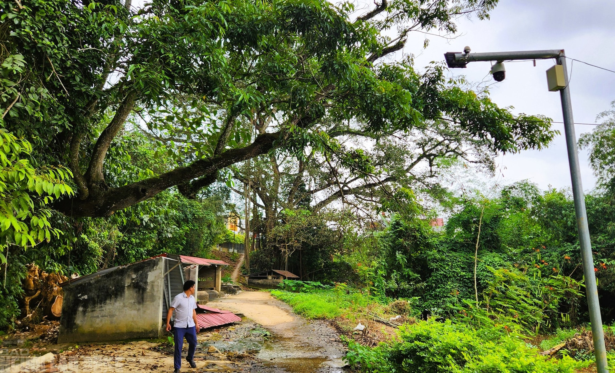 Chuyện về "giếng nước thần" được cả làng bảo vệ hàng trăm năm - Ảnh 7.