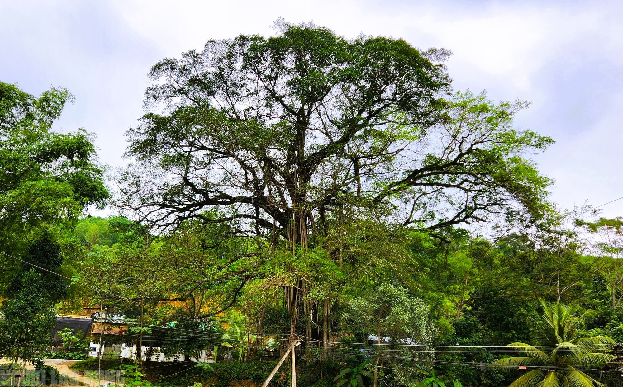 Chuyện về "giếng nước thần" được cả làng bảo vệ hàng trăm năm - Ảnh 2.