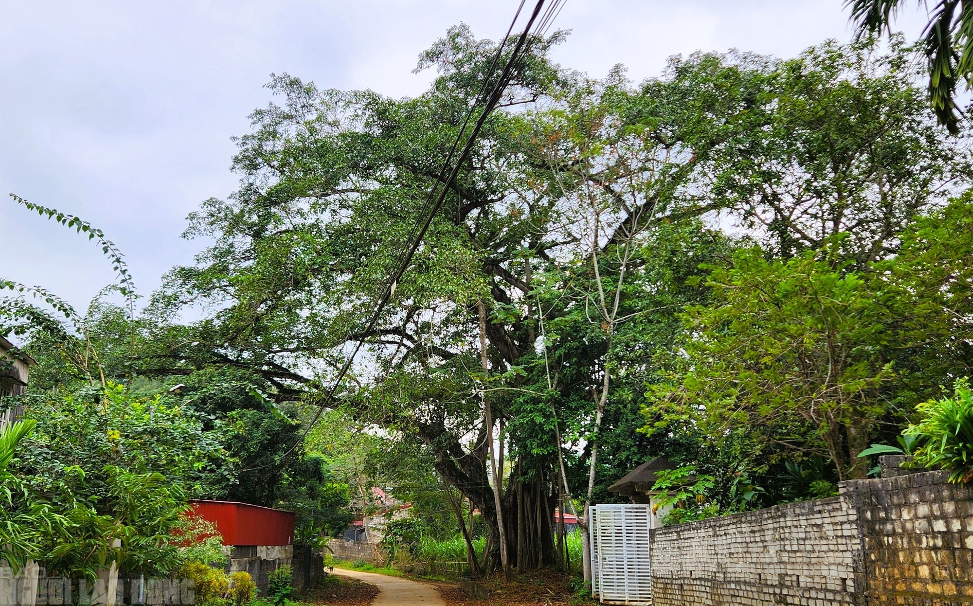 Chuyện về "giếng nước thần" được cả làng bảo vệ hàng trăm năm - Ảnh 3.