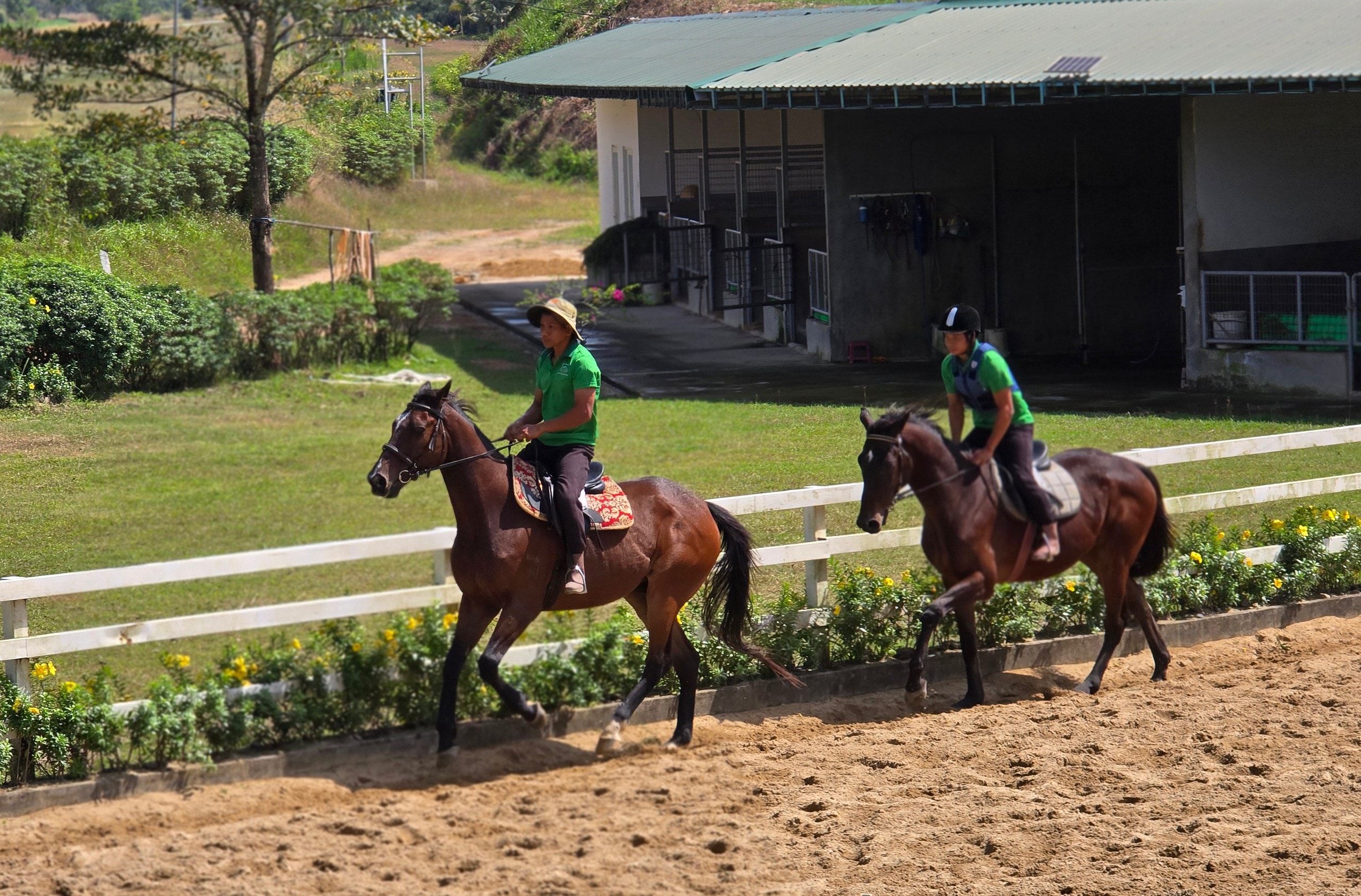 Đầu năm Ngọ khám phá Trường đua ngựa Thiên Mã Madagui tại Lâm Đồng - Ảnh 11.