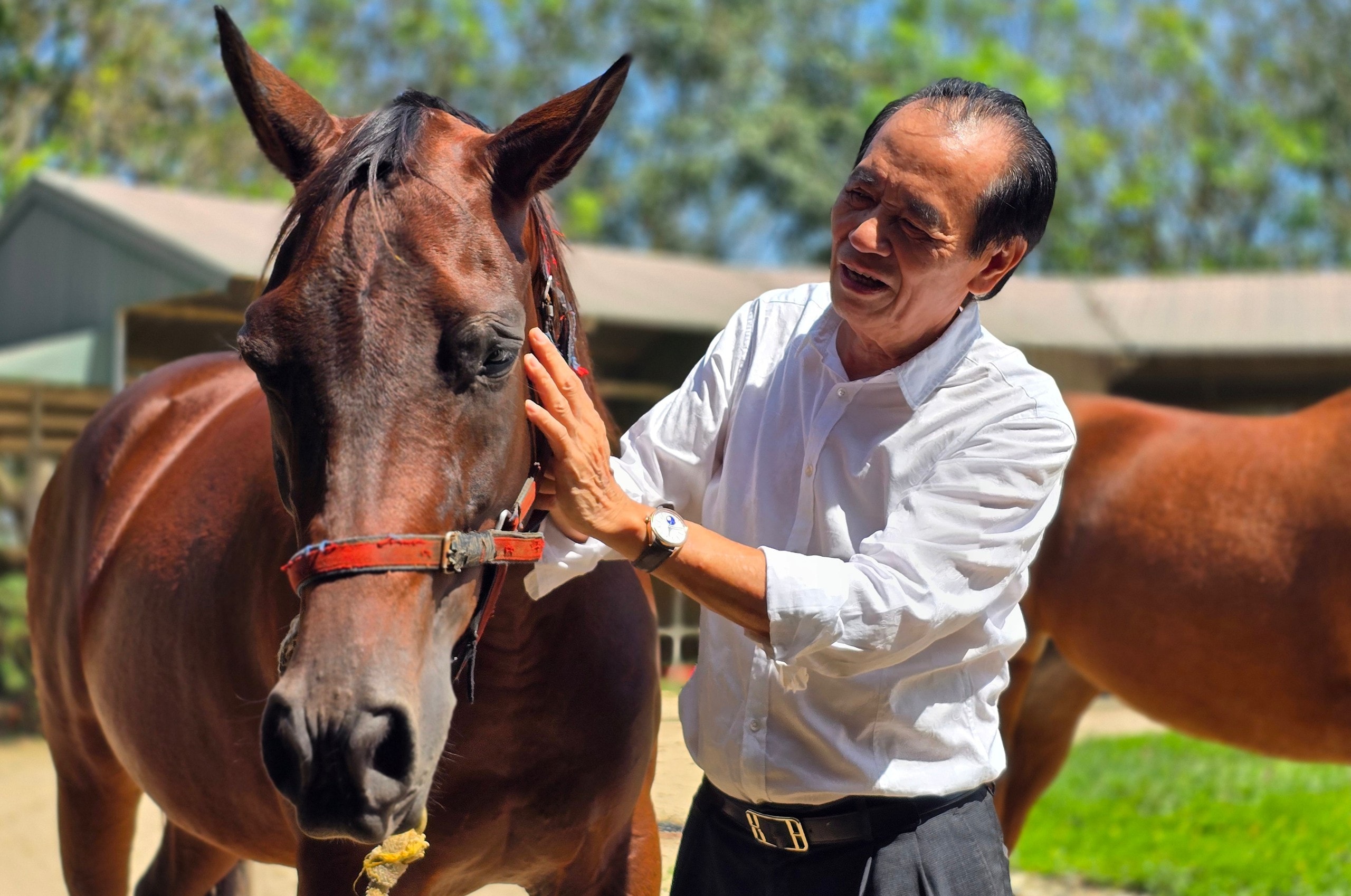 Đầu năm Ngọ khám phá Trường đua ngựa Thiên Mã Madagui tại Lâm Đồng - Ảnh 3.