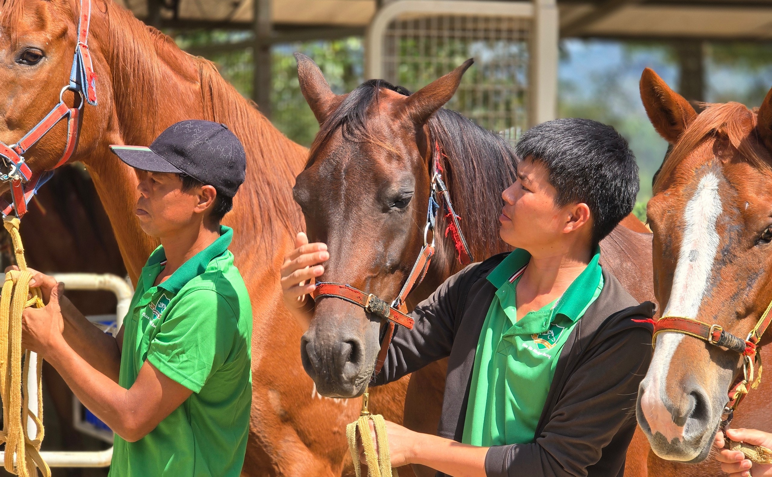 Đầu năm Ngọ khám phá Trường đua ngựa Thiên Mã Madagui tại Lâm Đồng - Ảnh 5.