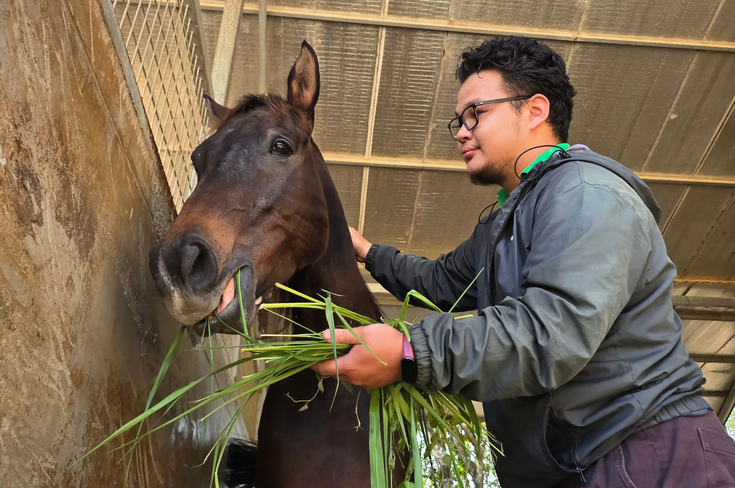 Đầu năm Ngọ khám phá Trường đua ngựa Thiên Mã Madagui tại Lâm Đồng - Ảnh 7.