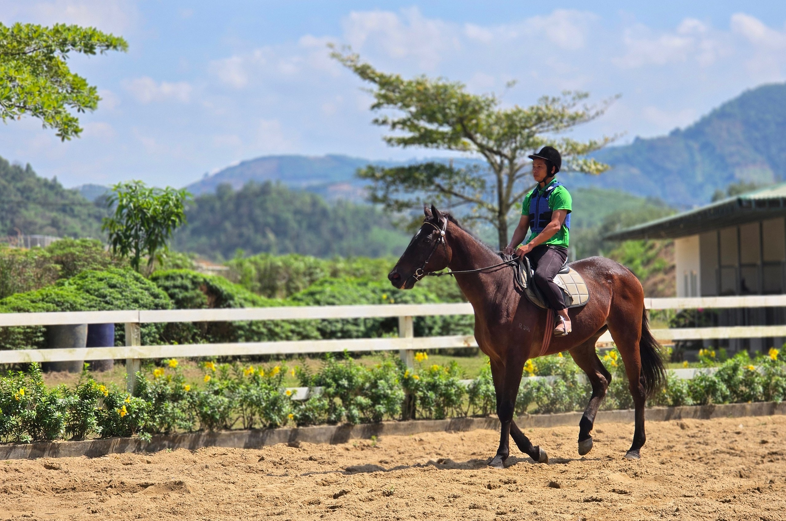 Đầu năm Ngọ khám phá Trường đua ngựa Thiên Mã Madagui tại Lâm Đồng - Ảnh 9.