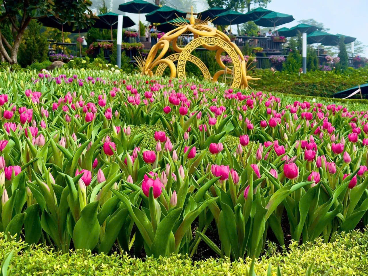  Núi Bà Đen đón lượng khách "khủng" trong 6 ngày Tết - Ảnh 2.