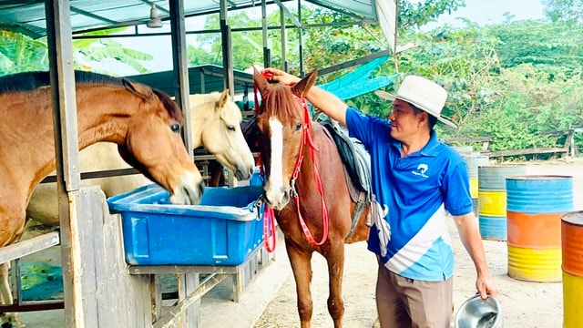 Nài ngựa Lê Tiến Tông: Đam mê "thuần hóa" những chú ngựa bất kham - Ảnh 1.