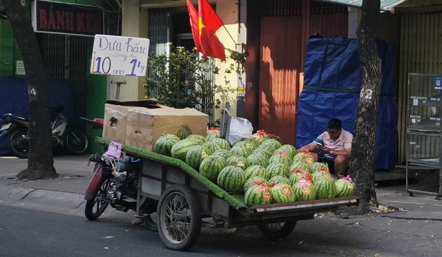 Mùng 4 Tết 2026: Giá trái cây cúng cao , dưa hấu chỉ 10 . 000 Đồng / kg - Ảnh 7.