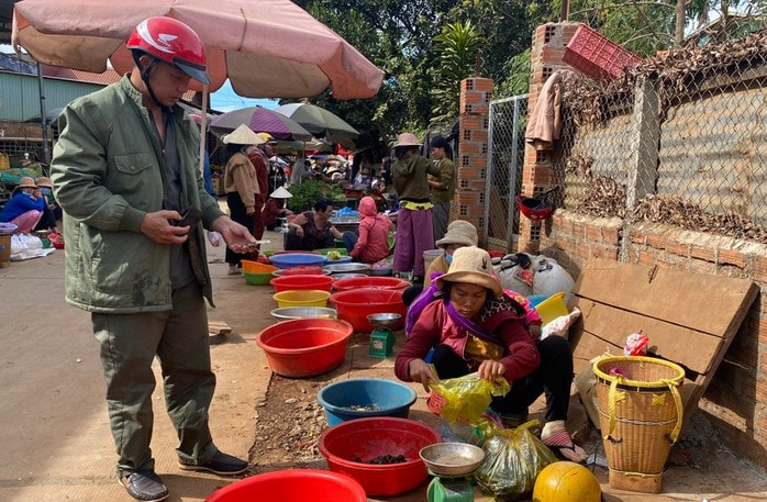 - Ảnh 1. - Ảnh 1.