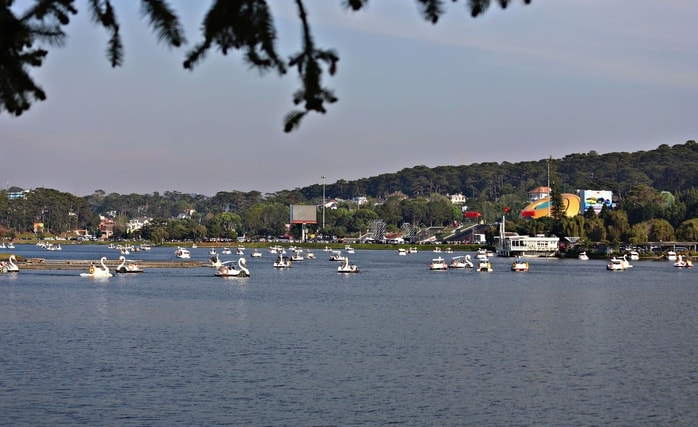 Lâm Đồng đón gần 1 triệu du khách dịp Tết Nguyên đán, doanh thu 1.800 tỉ đồng - Ảnh 2.