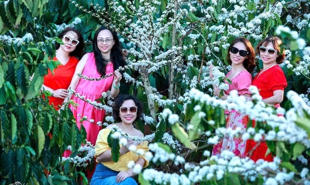 Mê mẩn mùa hoa cà phê ở Tây Nguyên- Ảnh 8.