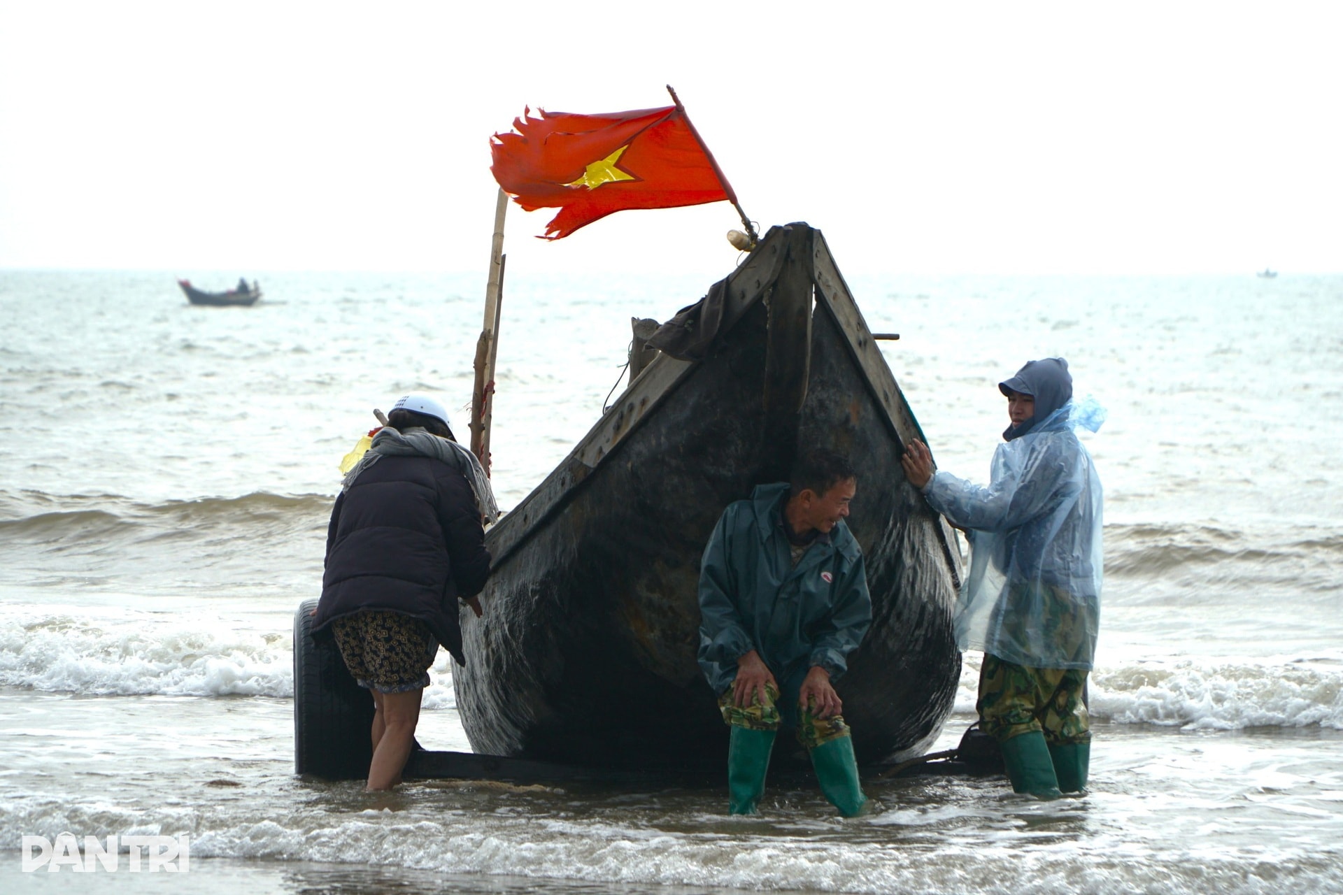 5 con cá khoai giá nửa triệu đồng, ngư dân săn tìm đầu năm mới - 2
