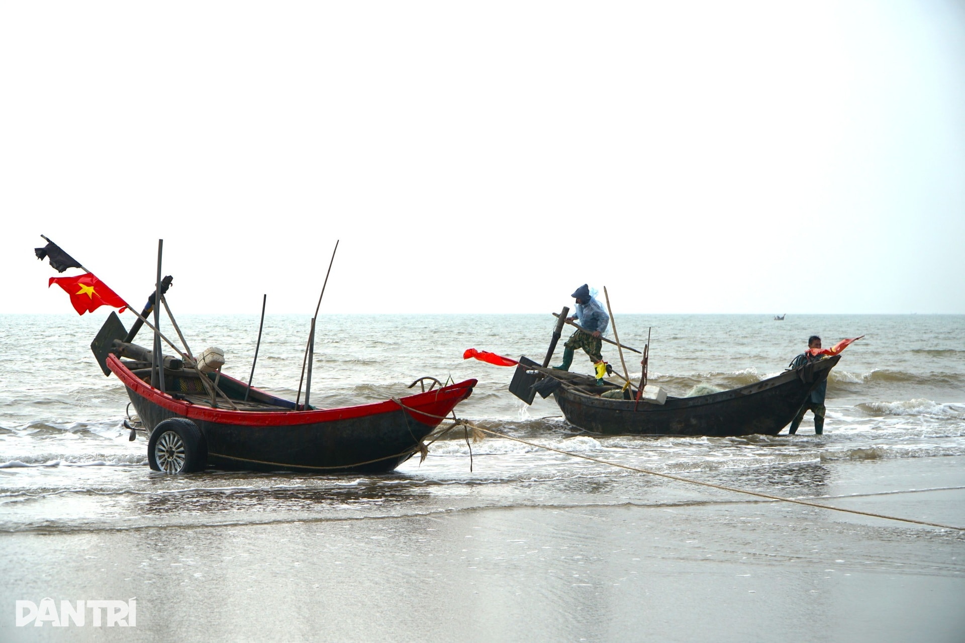 5 con cá khoai giá nửa triệu đồng, ngư dân săn tìm đầu năm mới - 1