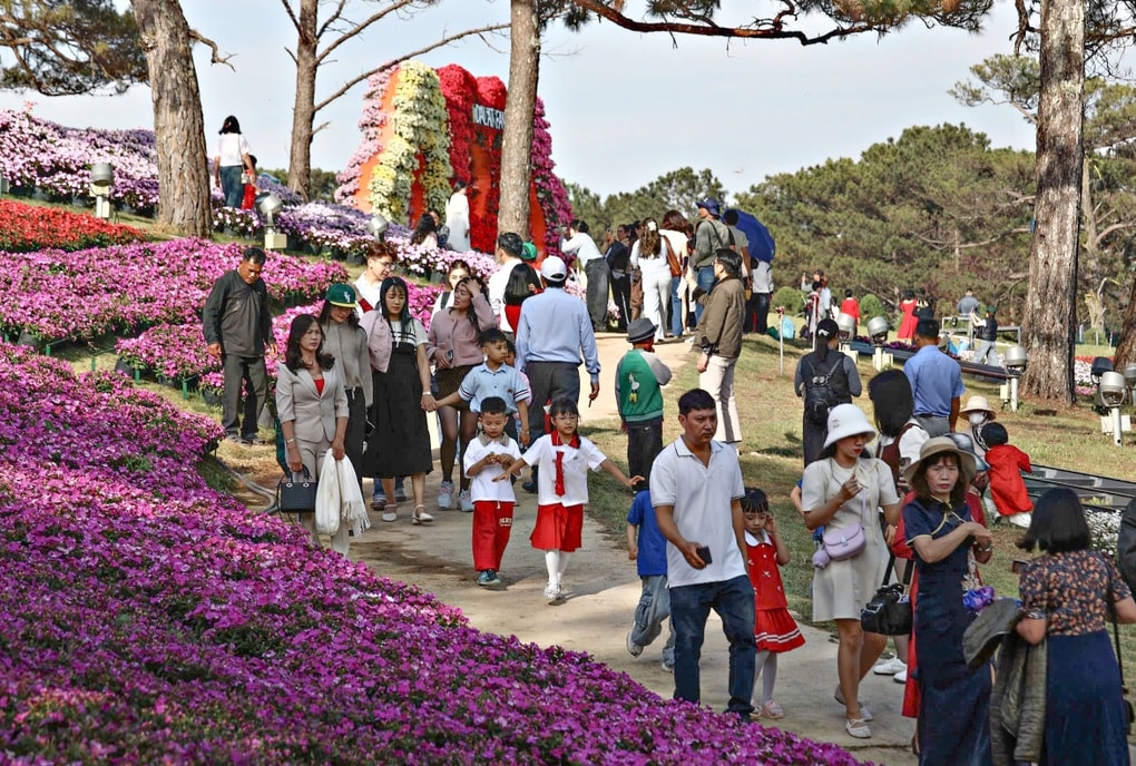 Đà Lạt hút khách du xuân, cơ sở lưu trú cháy phòng - 1