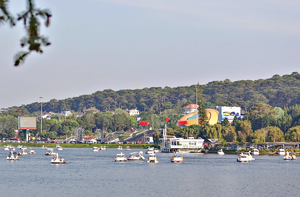 Đà Lạt hút khách du xuân, cơ sở lưu trú cháy phòng - 2