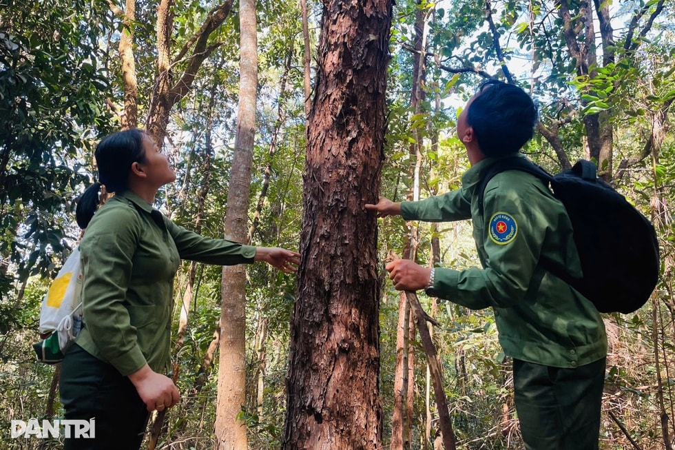 Lời dụ yêu của đôi vợ chồng vượt núi, luồn rừng xuyên Tết - 5