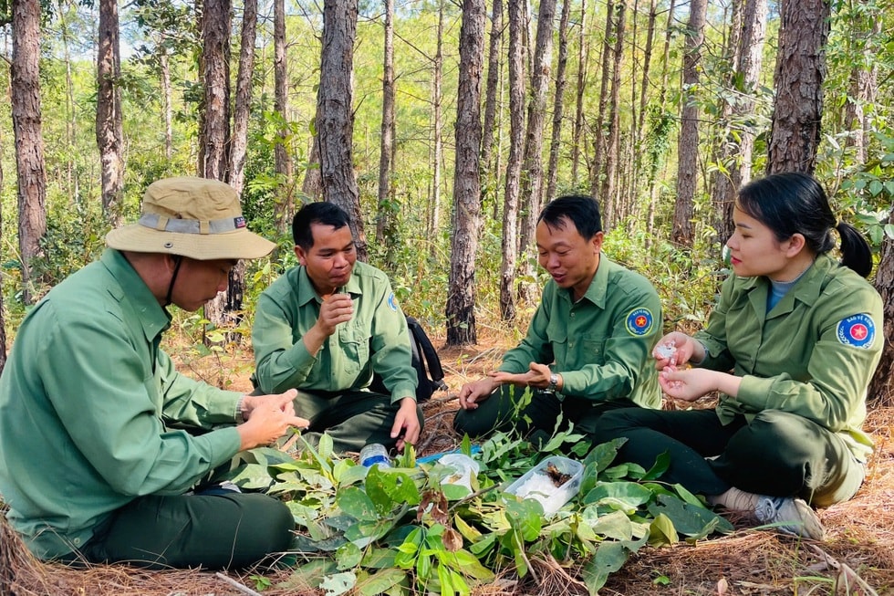 Lời dụ yêu của đôi vợ chồng vượt núi, luồn rừng xuyên Tết - 4