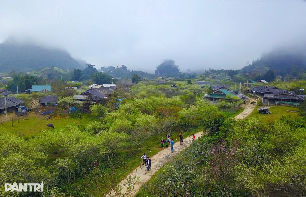 Bí quyết nuôi ngựa “nhà giàu” trên cổng trời, trăm triệu đồng không bán - 1 Bí quyết nuôi ngựa “nhà giàu” trên cổng trời, trăm triệu đồng không bán - 1