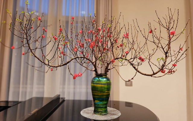 Đừng đốt gốc đào nữa thêm thứ này hoa nở rộ rất nhanh, bền đẹp ngày Tết - Ảnh 1.