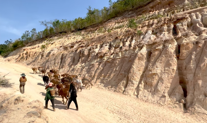 Khám phá dốc Vạn Long – “góc Ai Cập cổ đại” giữa cao nguyên Gia Lai - Ảnh 2.