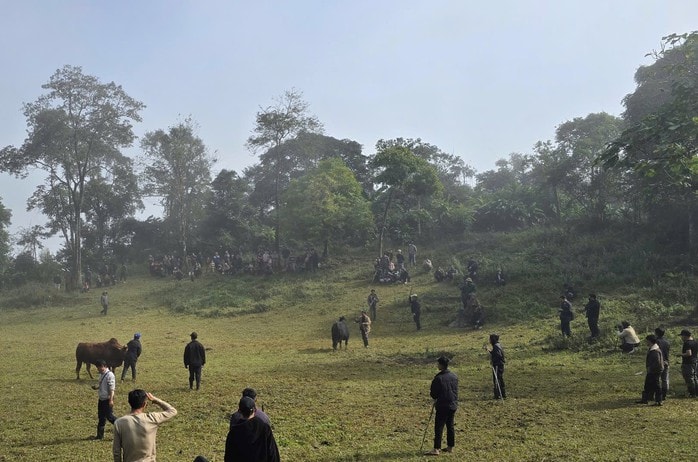 Ngày xuân, lên lưng chừng núi xem người Mông chọi bò - Ảnh 5.