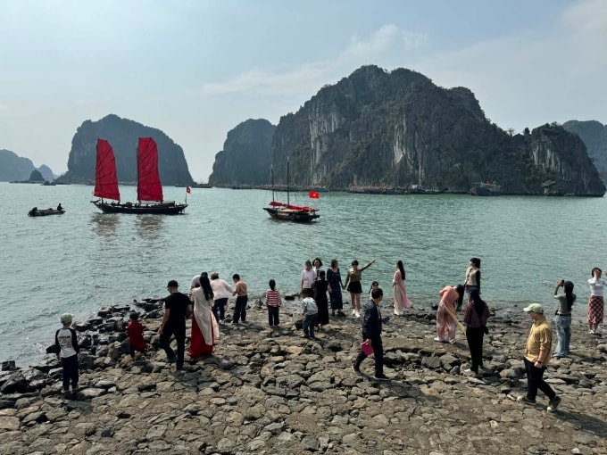 Cánh buồm đỏ thắm - điểm check in nổi nhất dịp Tết ở Hạ Long