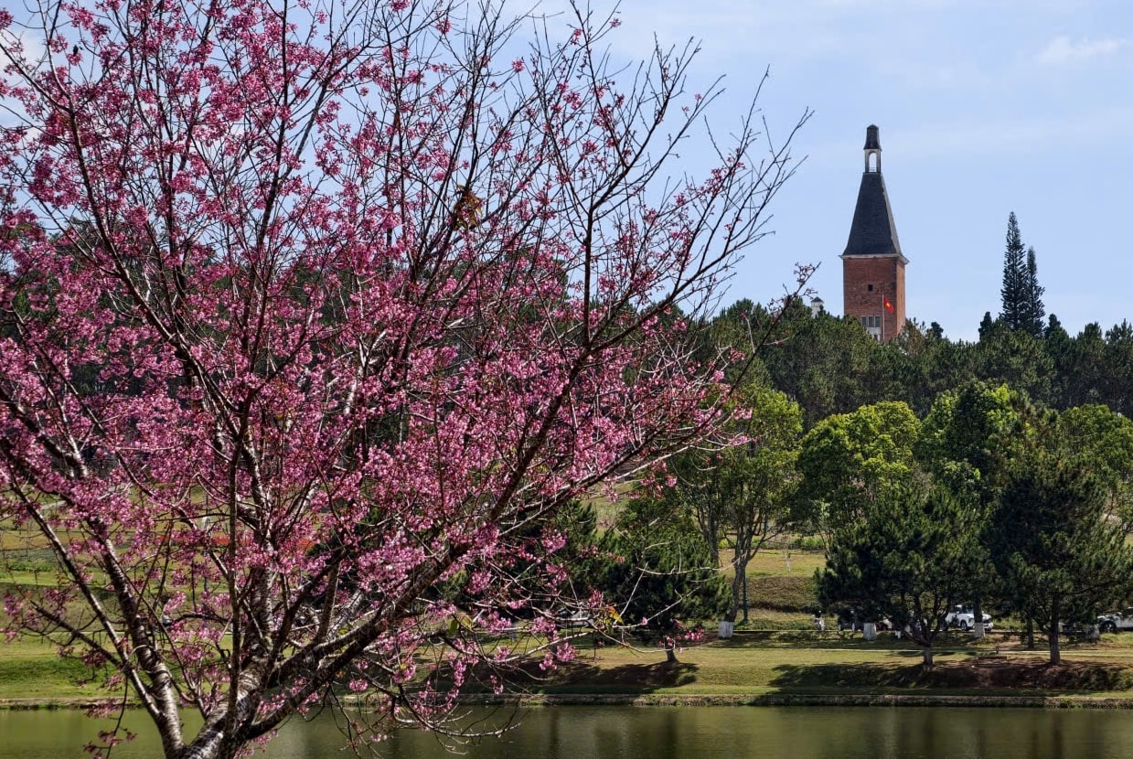 Ngôi trường gần 100 năm ở Đà Lạt là di tích cấp quốc gia - Ảnh 6.