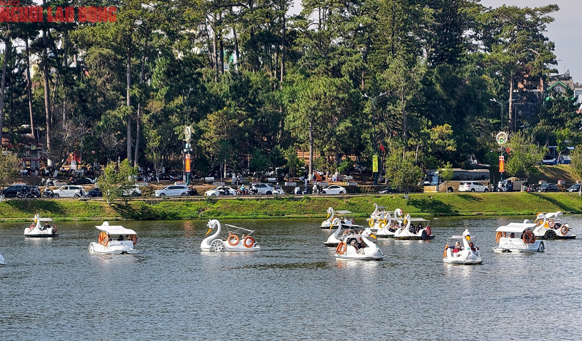 Mùng 6 Tết, Đà Lạt vẫn rộn ràng khách du xuân - Ảnh 13.