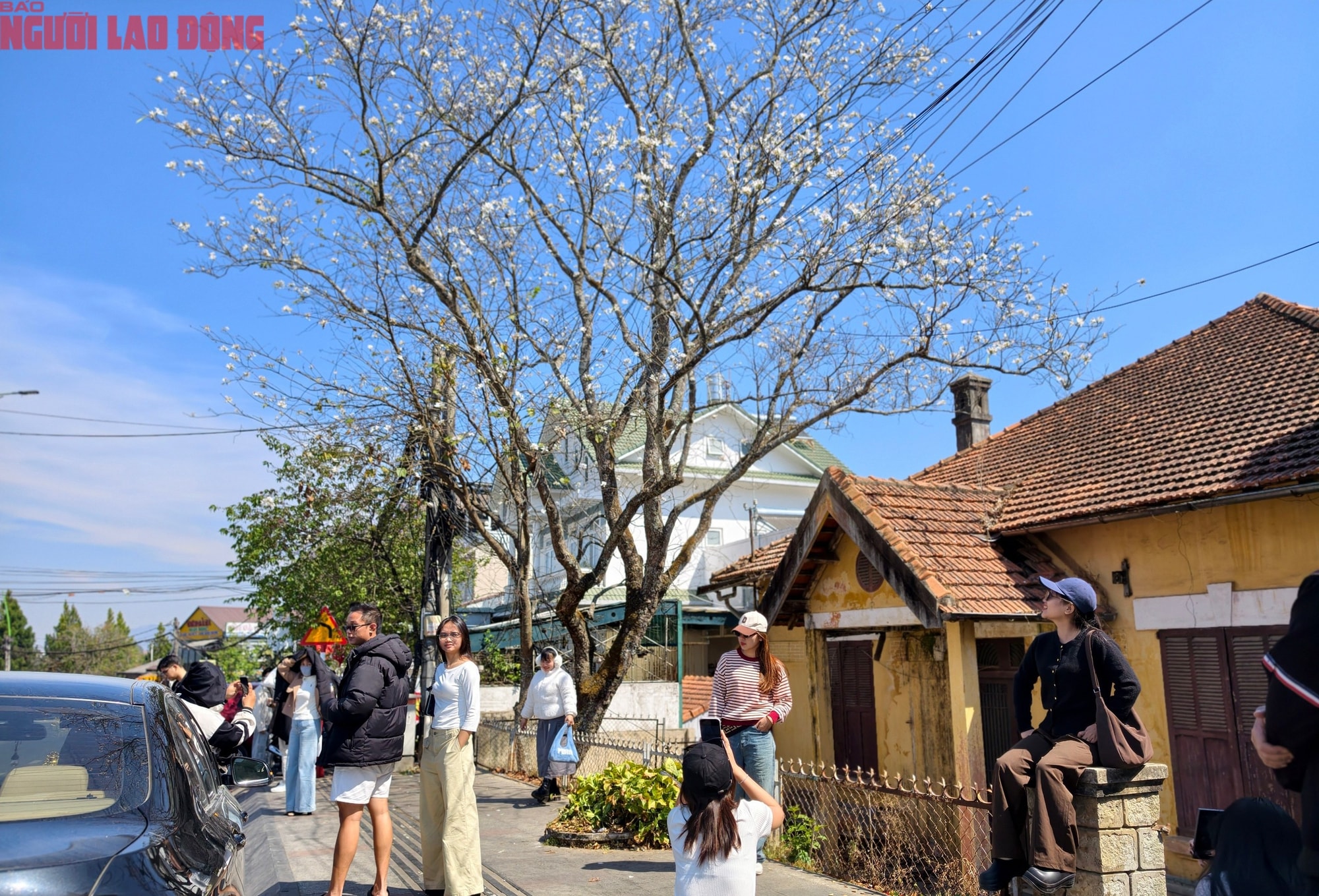 Mùng 6 Tết, Đà Lạt vẫn rộn ràng khách du xuân - Ảnh 15.