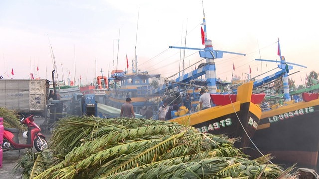 Ngư dân Lâm Đồng mở biển đầu năm 2026 với kỳ vọng mùa đánh bắt bội thu - Ảnh 1. Ngư dân Lâm Đồng mở biển đầu năm 2026 với kỳ vọng mùa đánh bắt bội thu - Ảnh 1.